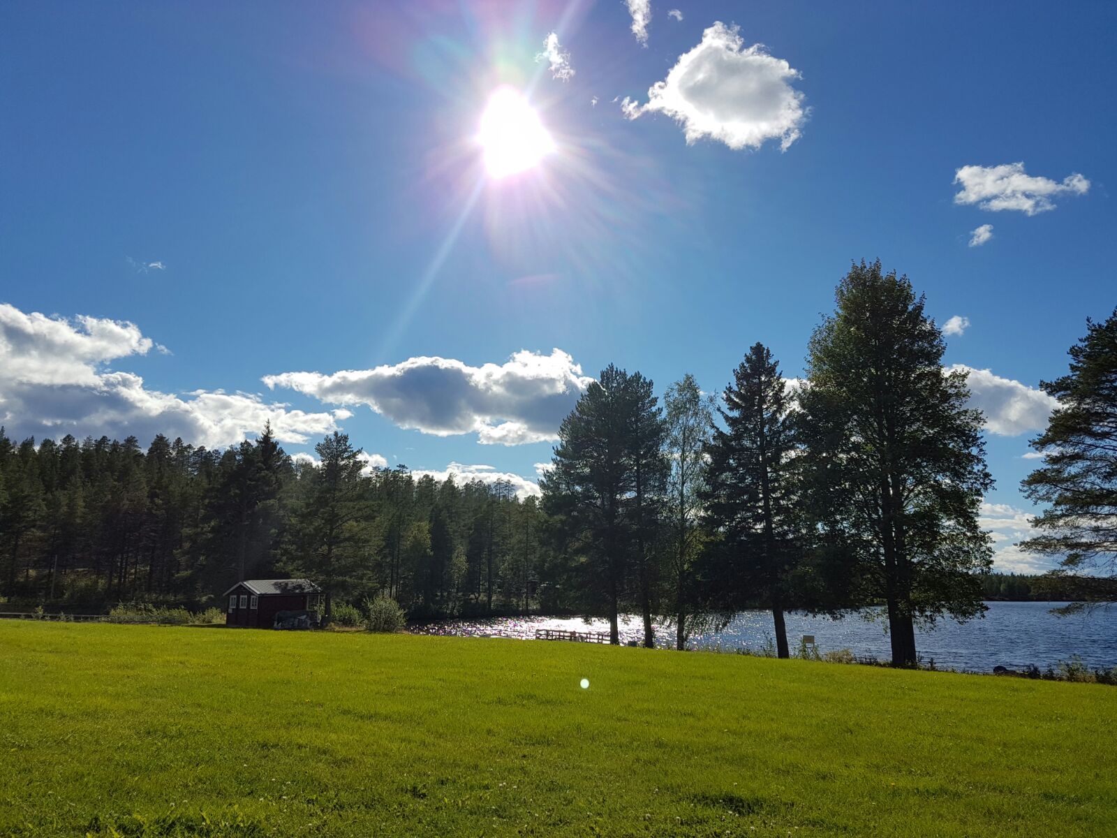 cabin-near-lale-and-trees-in-Sweden-Healing-Room